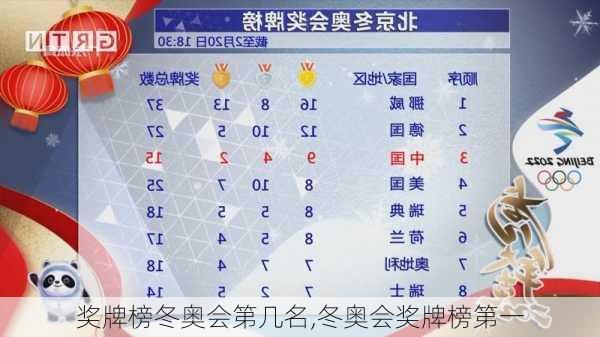 奖牌榜冬奥会第几名,冬奥会奖牌榜第一