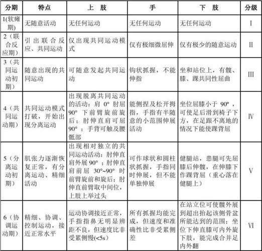 体育医疗模式的评估标准