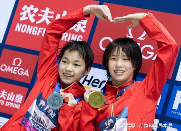 2024年东京奥运会中国代表团战绩