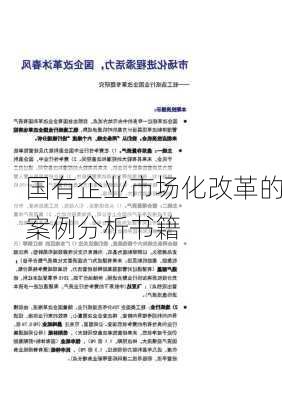 国有企业市场化改革的案例分析书籍