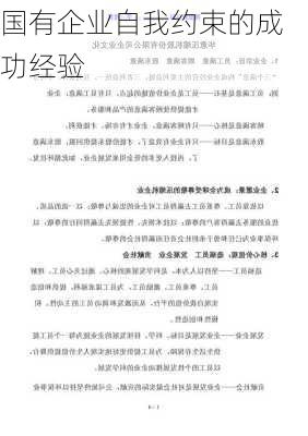 国有企业自我约束的成功经验