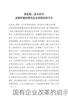 国有企业改革的启示