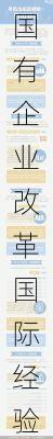 国有企业改革国际经验