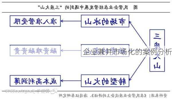 企业兼并市场化的案例分析