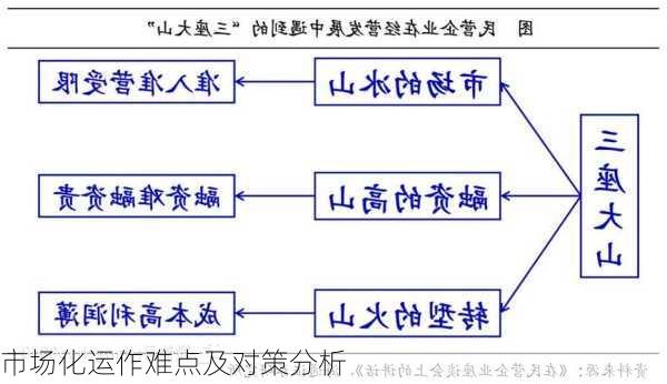 市场化运作难点及对策分析