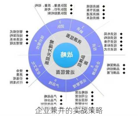 企业兼并的实战策略