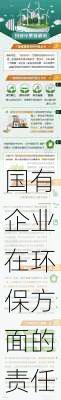 国有企业在环保方面的责任