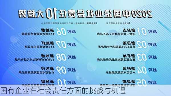 国有企业在社会责任方面的挑战与机遇