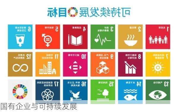 国有企业与可持续发展