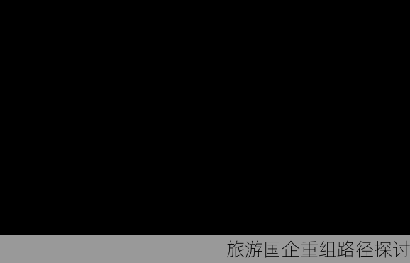 旅游国企重组路径探讨