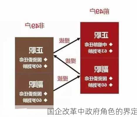 国企改革中政府角色的界定