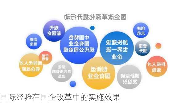 国际经验在国企改革中的实施效果