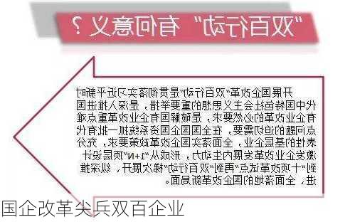 国企改革尖兵双百企业