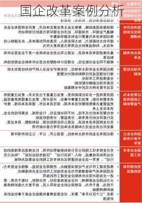 国企改革案例分析