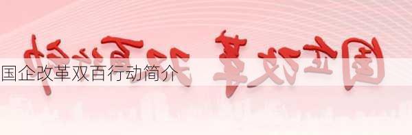 国企改革双百行动简介