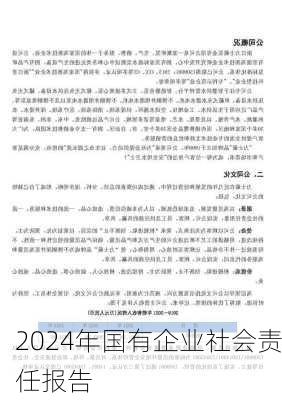2024年国有企业社会责任报告