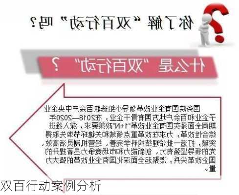 双百行动案例分析