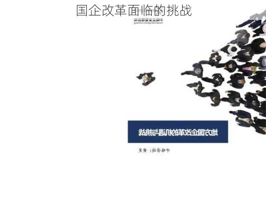 国企改革面临的挑战