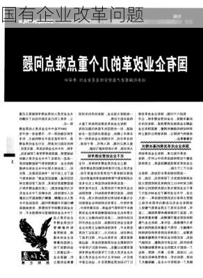 国有企业改革问题