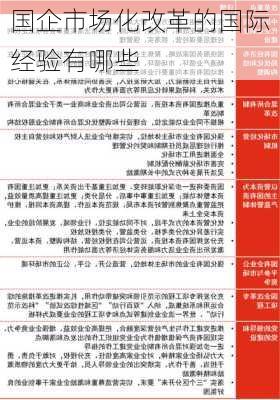 国企市场化改革的国际经验有哪些