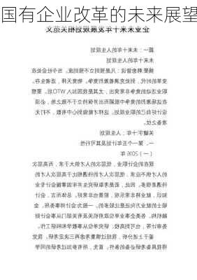 国有企业改革的未来展望