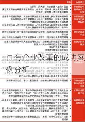 国有企业改革的成功案例分析