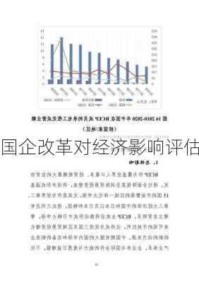 国企改革对经济影响评估