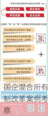 国企混合所有制改革案例考察