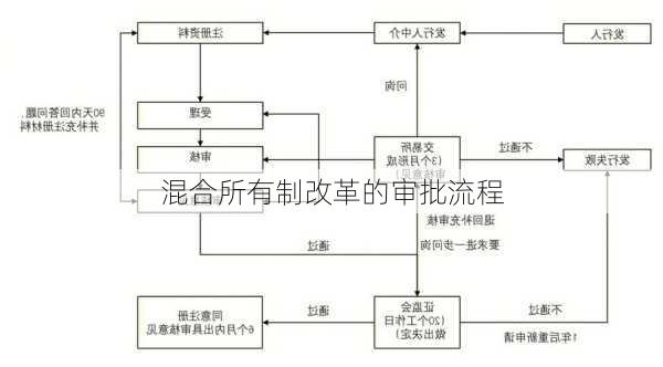 混合所有制改革的审批流程
