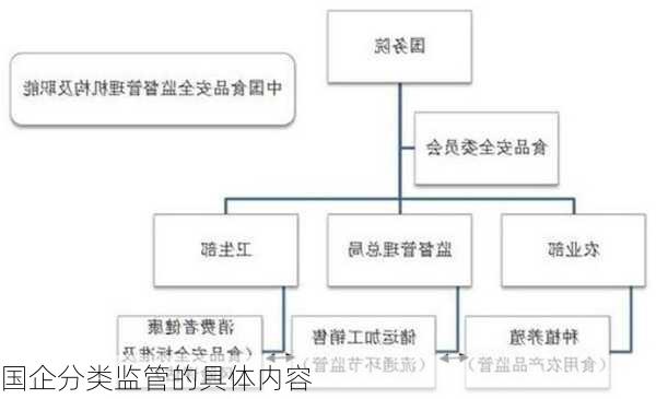 国企分类监管的具体内容