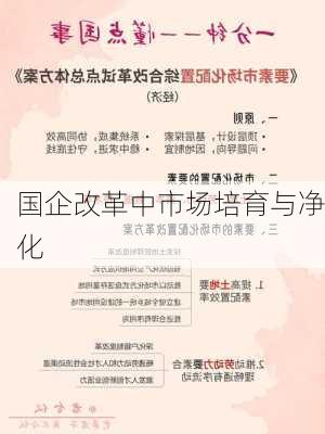 国企改革中市场培育与净化
