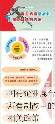 国有企业混合所有制改革的相关政策