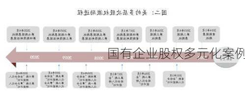 国有企业股权多元化案例