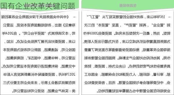 国有企业改革关键问题