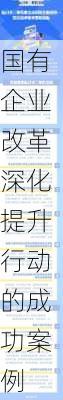 国有企业改革深化提升行动的成功案例