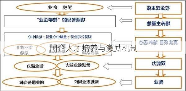 国企人才培养与激励机制