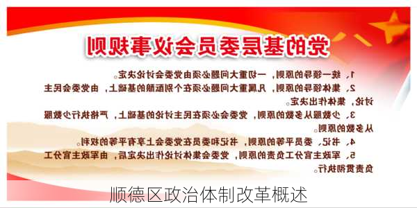 顺德区政治体制改革概述