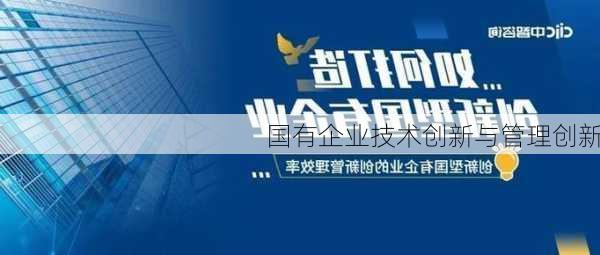 国有企业技术创新与管理创新