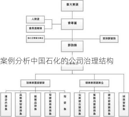 案例分析中国石化的公司治理结构