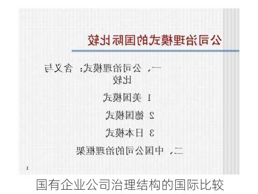 国有企业公司治理结构的国际比较