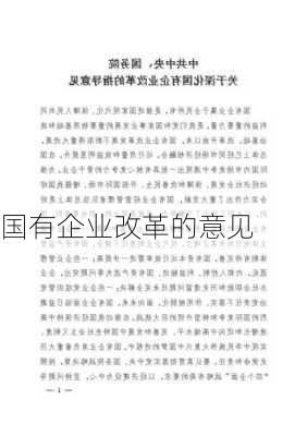 国有企业改革的意见