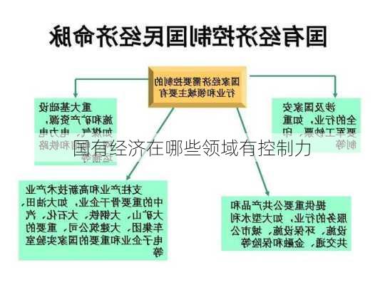 国有经济在哪些领域有控制力