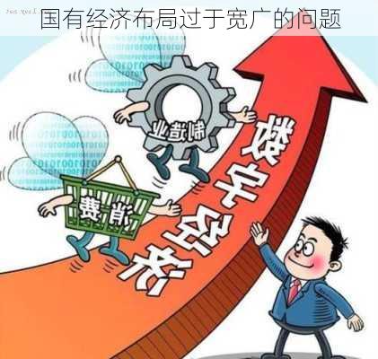 国有经济布局过于宽广的问题