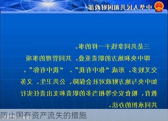 防止国有资产流失的措施