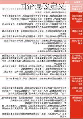 国企混改定义