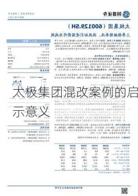 太极集团混改案例的启示意义