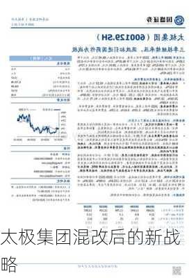 太极集团混改后的新战略