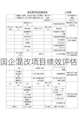 国企混改项目绩效评估