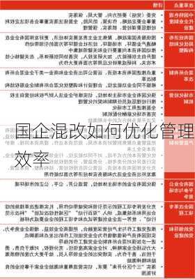 国企混改如何优化管理效率