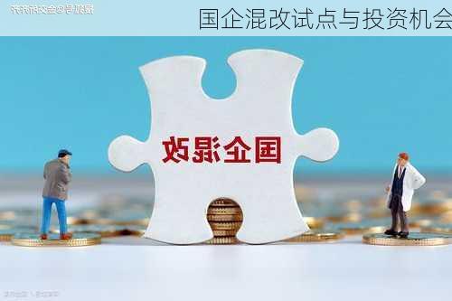 国企混改试点与投资机会